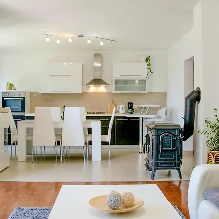 Cozy In With Kitchen Apartment